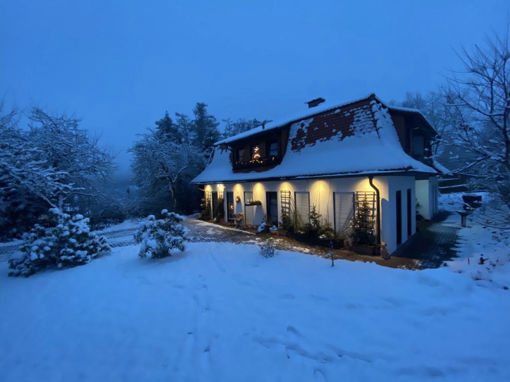 5278011D F10A-42C0-9B38-4710F9967D03.JPG